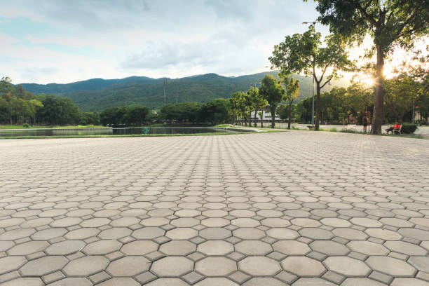 Best Driveway Paving Contractor  in San Martin, CA
